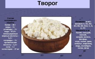 Польза обезжиреного творога