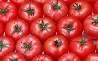 Помидор польза кратко