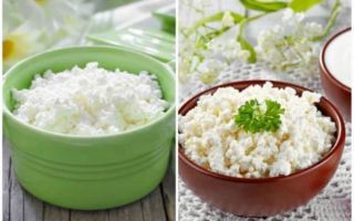 Польза от козьего творога