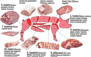 Жареная свинина вред польза и вред