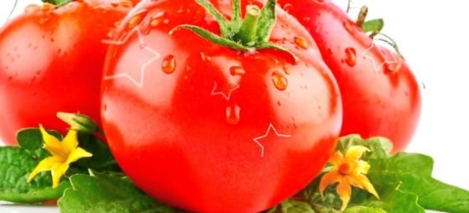 Помидор польза кратко