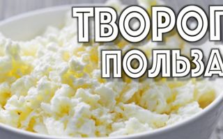 Вся польза творога