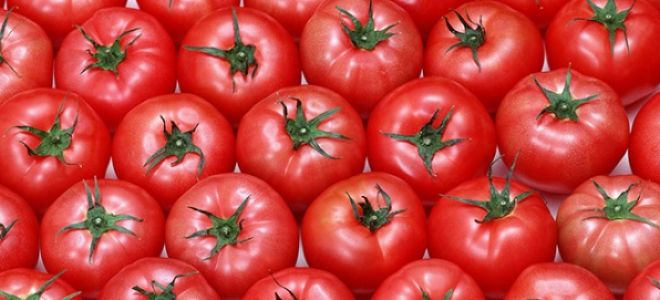 Квашеные зеленые помидоры польза