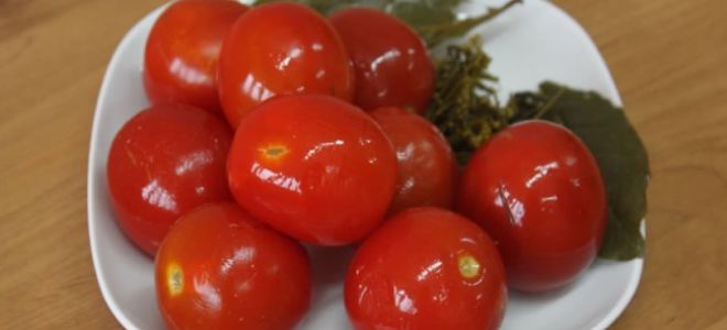 Помидоры с маслом польза