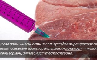 Говядина польза для беременных