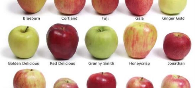 Яблоко залить кипятком польза