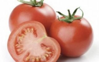 Грунтовые помидоры польза