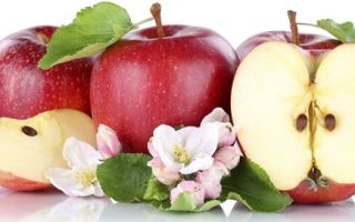 Польза сырых яблок