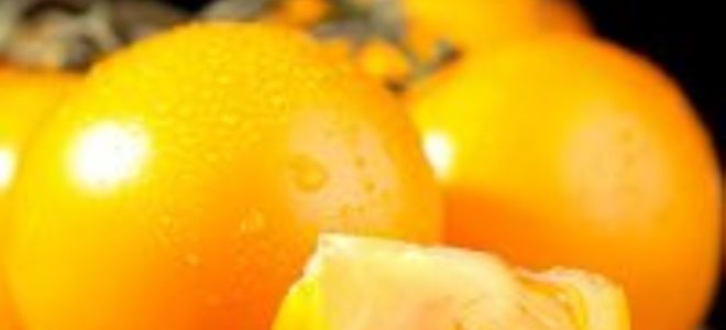 Консервированные помидоры польза вред