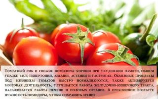 Зеленые консервированные помидоры польза
