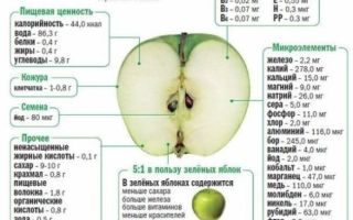 Яблоко натощак утром польза