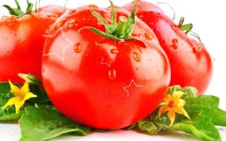 Коричневые помидоры польза