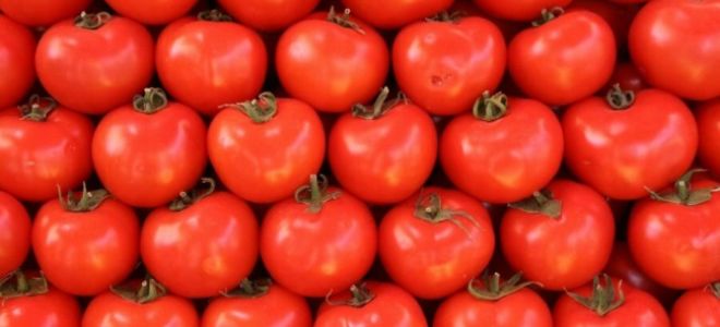 Польза парниковых помидор