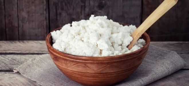 Польза от козьего творога