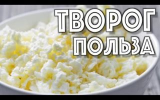 Творог для кишечника польза