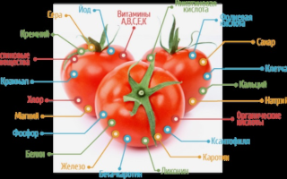 Польза помидор с солью