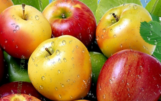 Сушенные яблоки польза