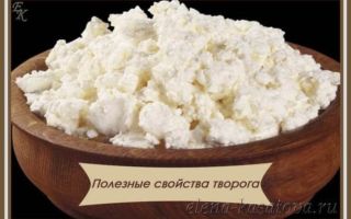 Творог со сметаной польза