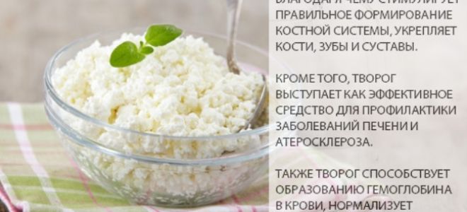 Сообщение о пользе творога