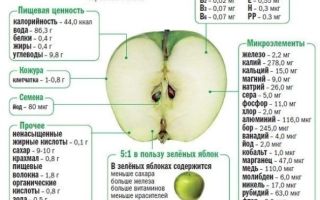 Польза яблок косточки