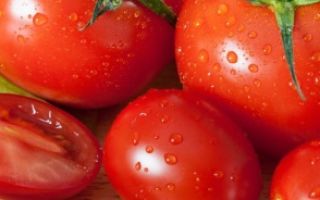 Польза помидор после термообработки