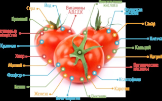 Томаты помидоры польза вред