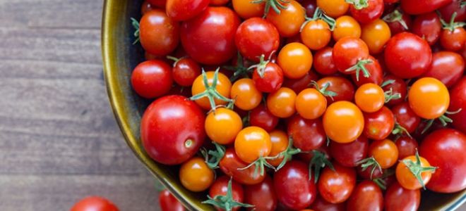 Польза помидоров википедия