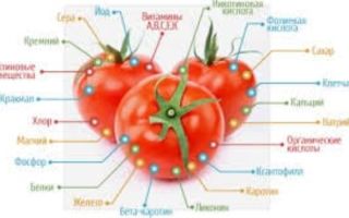 Турецкие помидоры польза