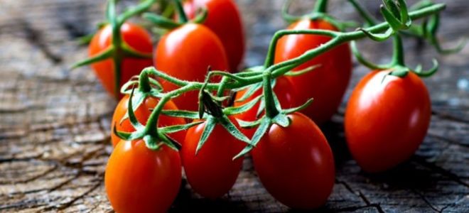 Польза магазинных помидор