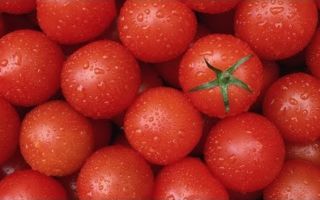 Горячие помидоры польза
