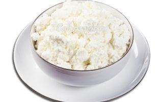 Польза от творога детям