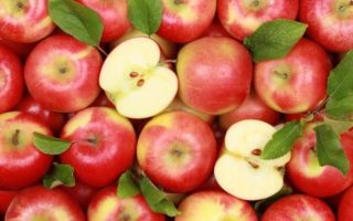 Анисовые яблоки польза