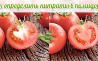 Польза от употребления помидоров
