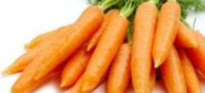 Польза от печеных яблок