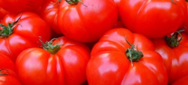 Овощ помидор польза