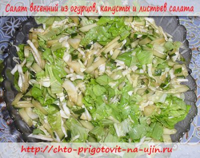 Салат весенний из огурцов, капусты и листьев салата