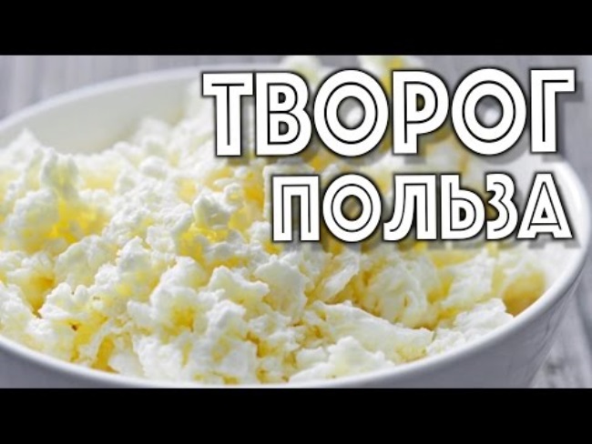 Малышева о пользе творога